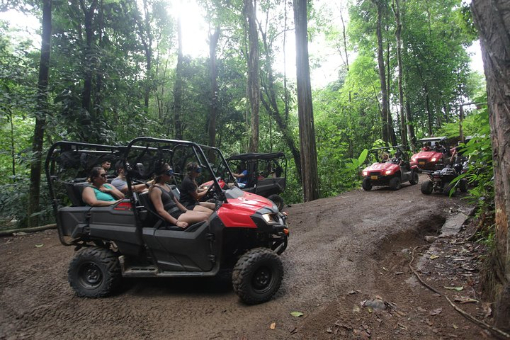 Tour the Rainforest in Buggy